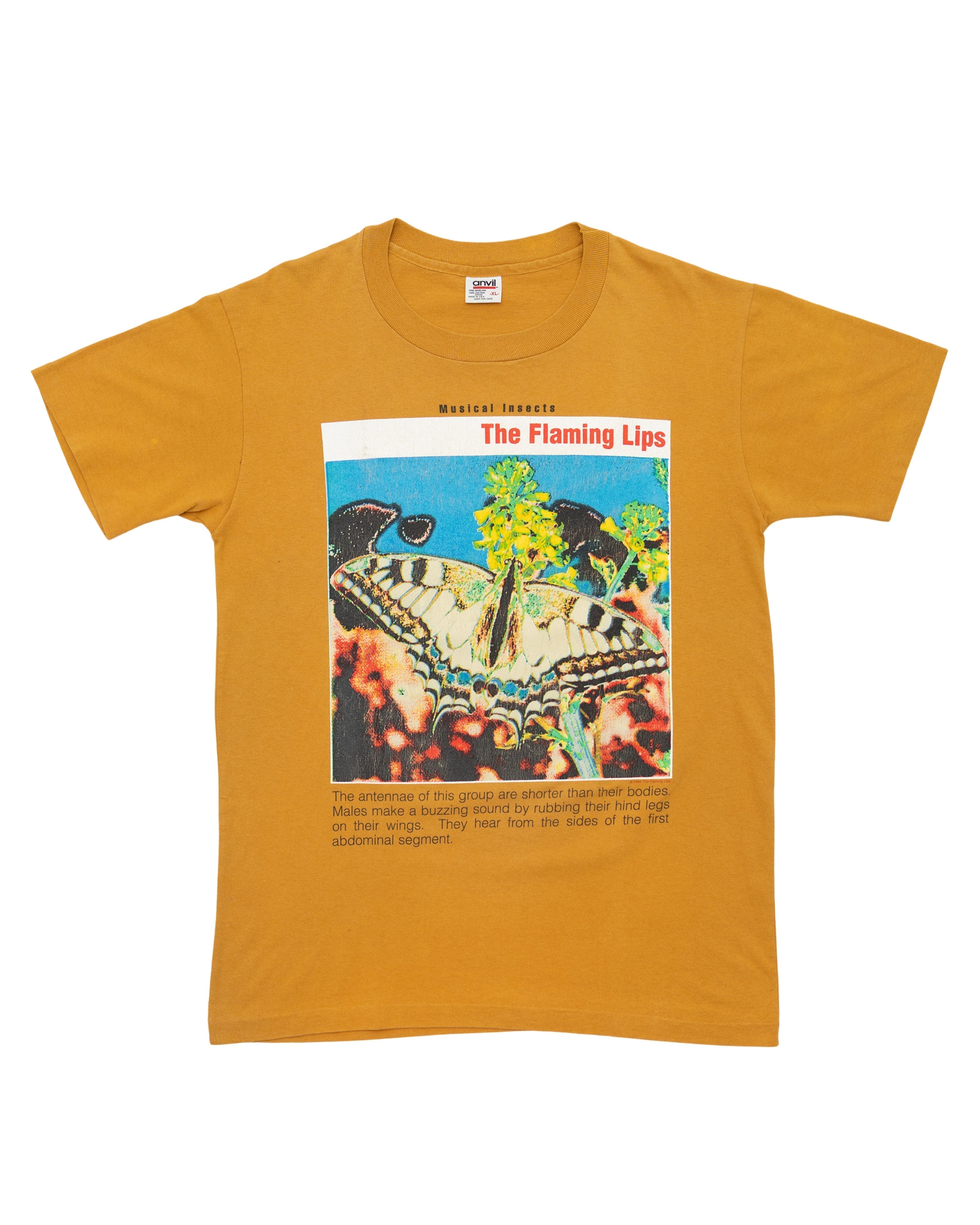 1994 The Flaming Lips Musical Insects T