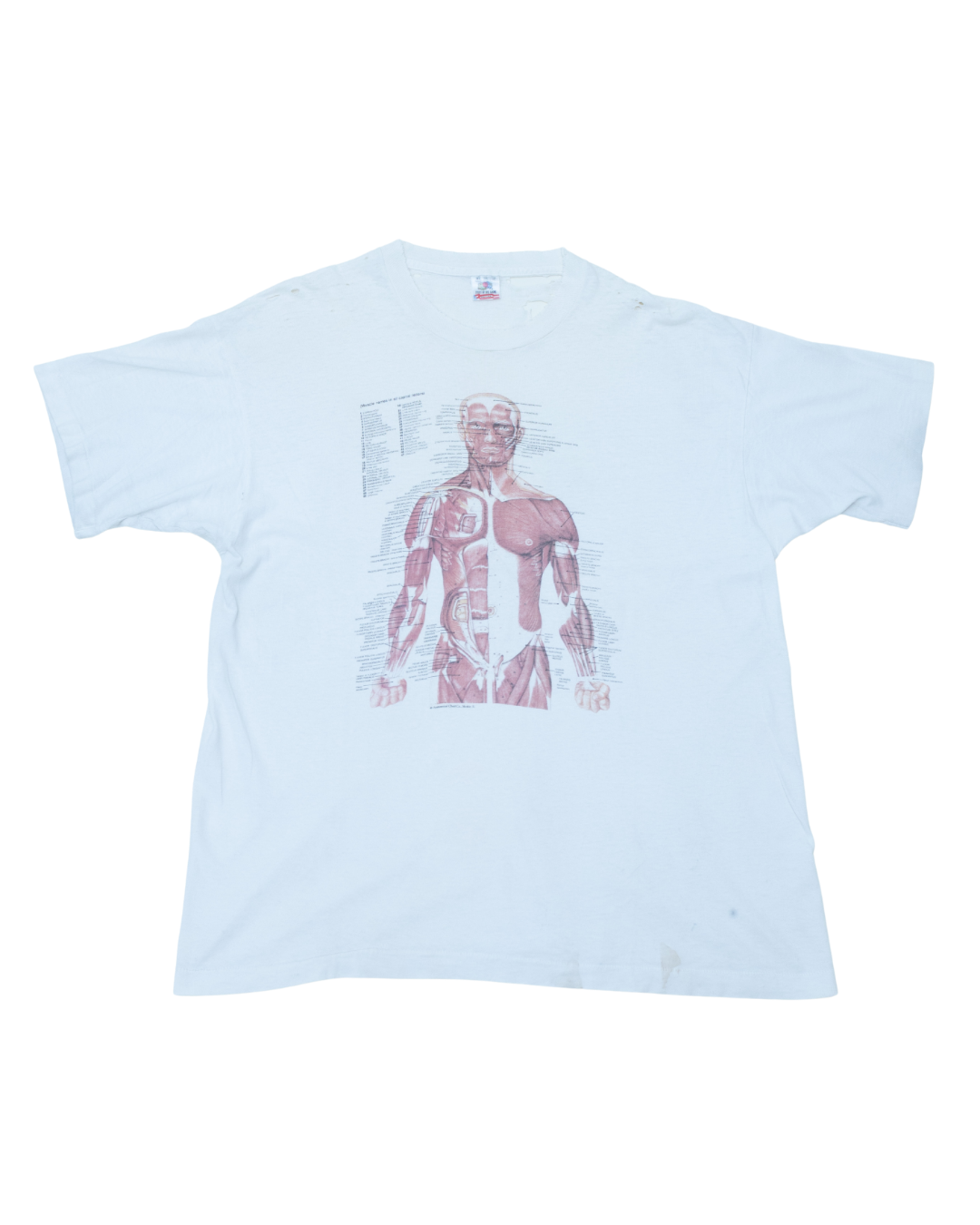 1990s Science Anatomy Kurt Cobain Distressed T