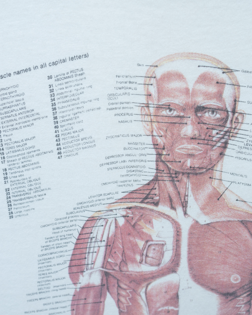 1990s Science Anatomy Kurt Cobain Distressed T