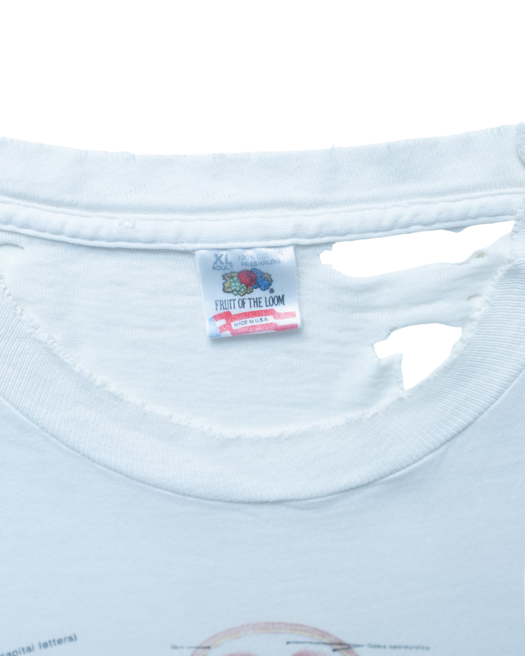 1990s Science Anatomy Kurt Cobain Distressed T