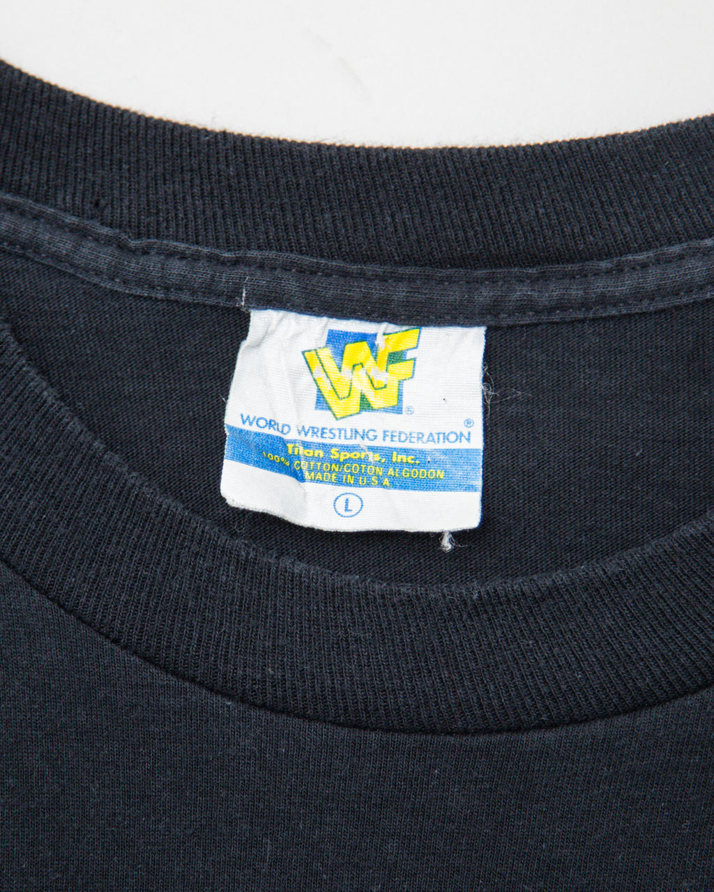 1996 WWF In Your House: Buried Alive Undertaker vs Mankind T