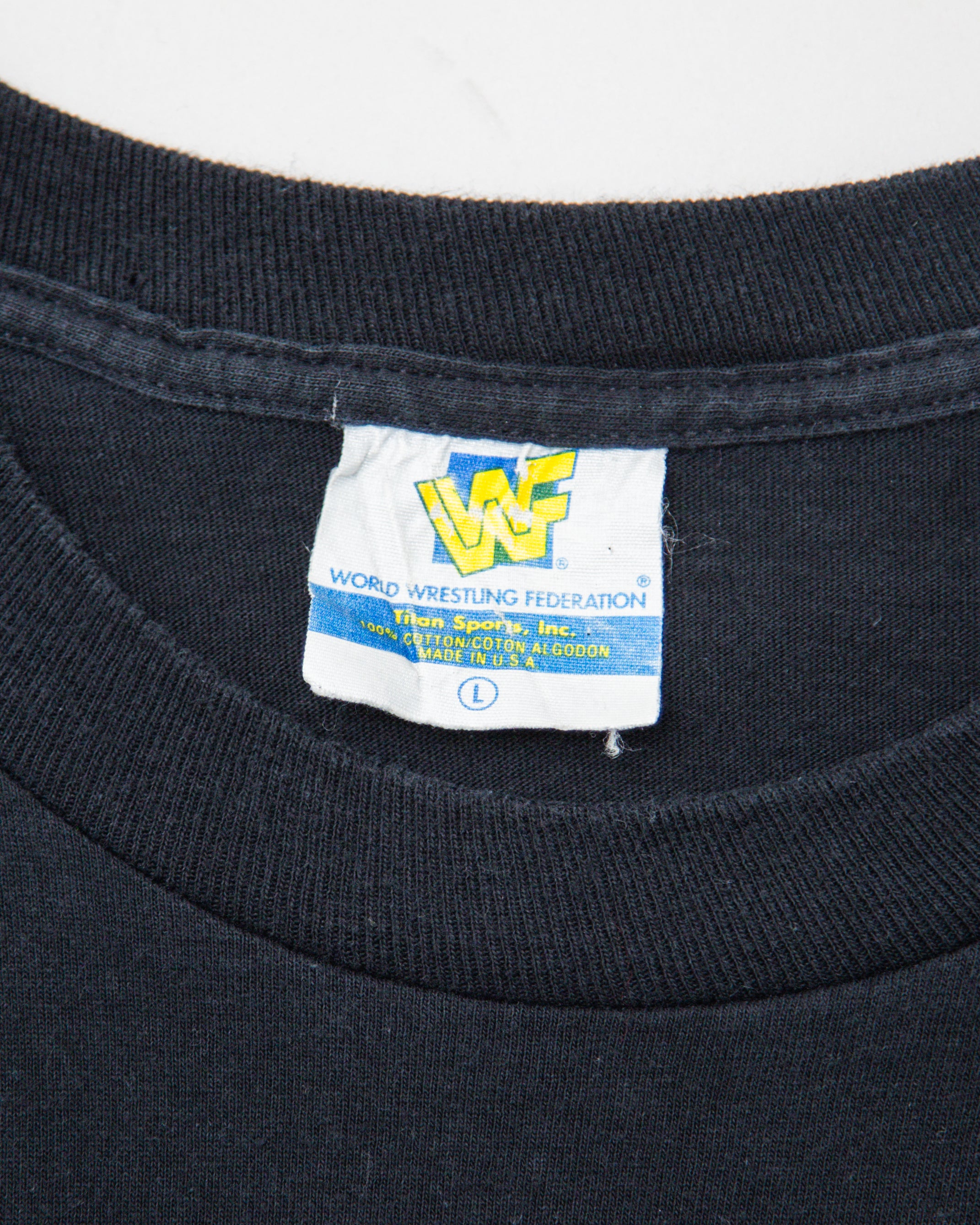 1996 WWF In Your House: Buried Alive Undertaker vs Mankind T