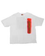 DALE EARNHARDT JR COMPRESSED TEE