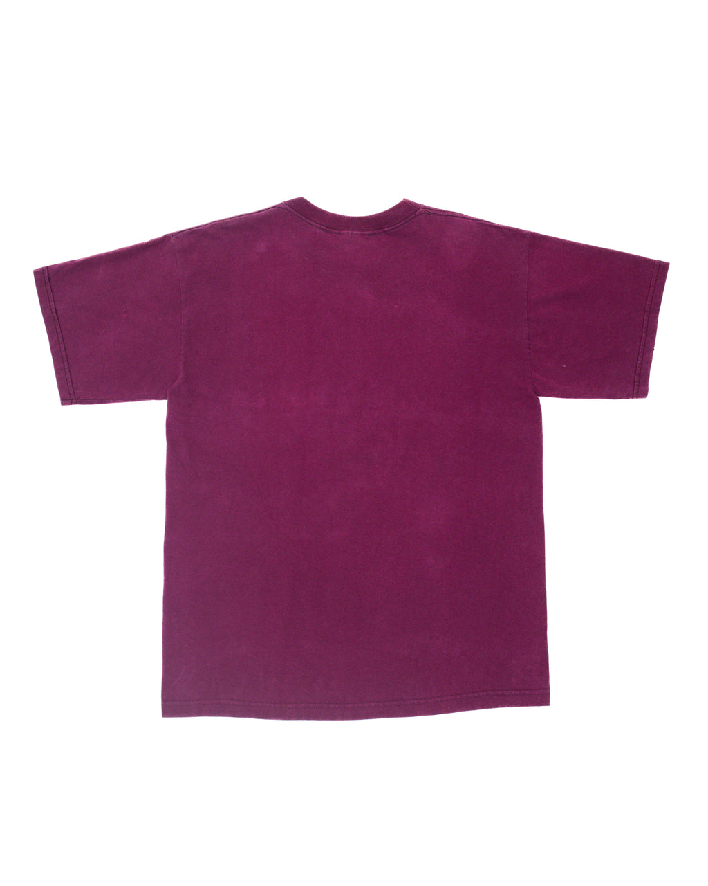 1990s Birdhouse Raygun Knight Graphic T