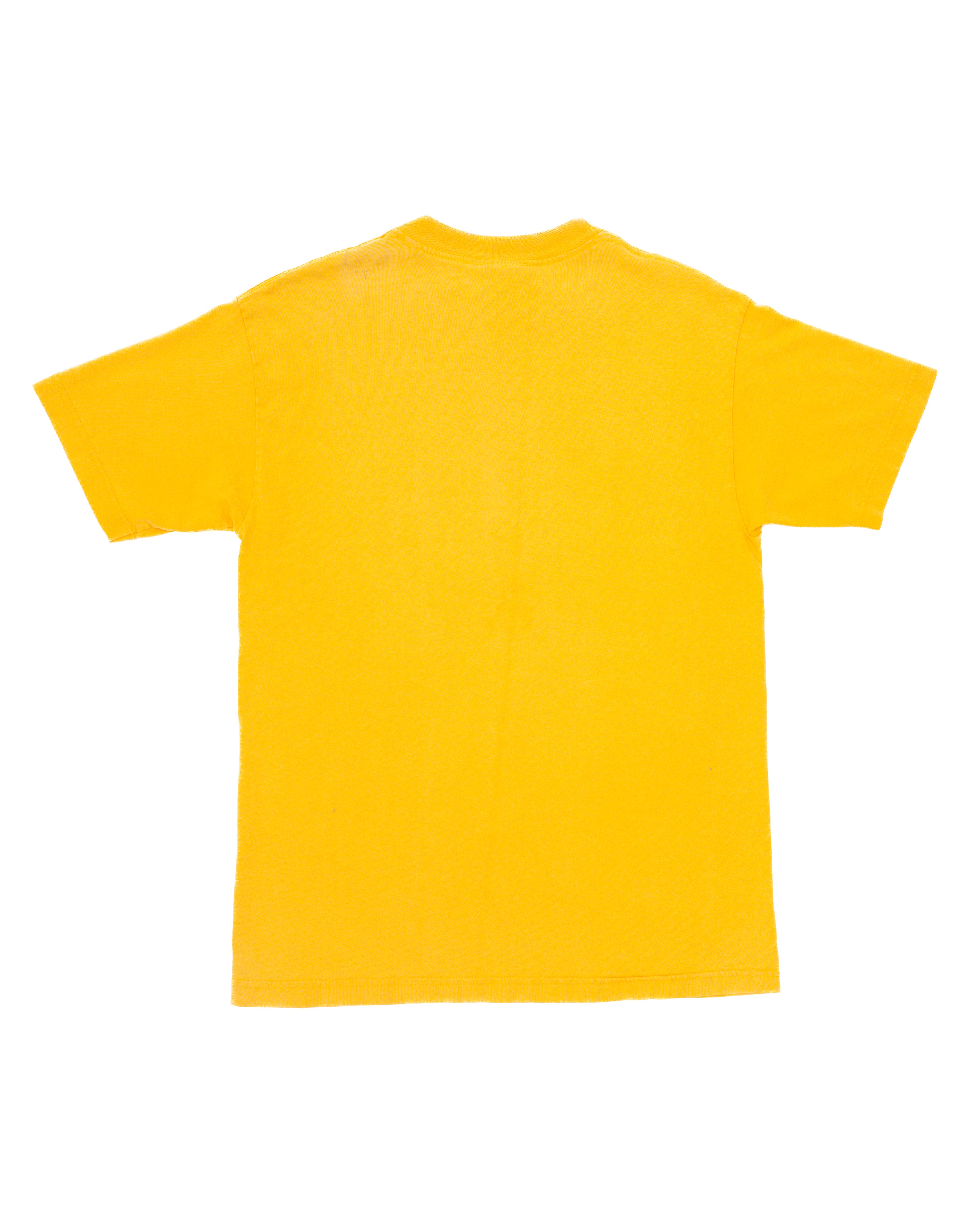 1990s Birdhouse Heath Kirchart Joker T