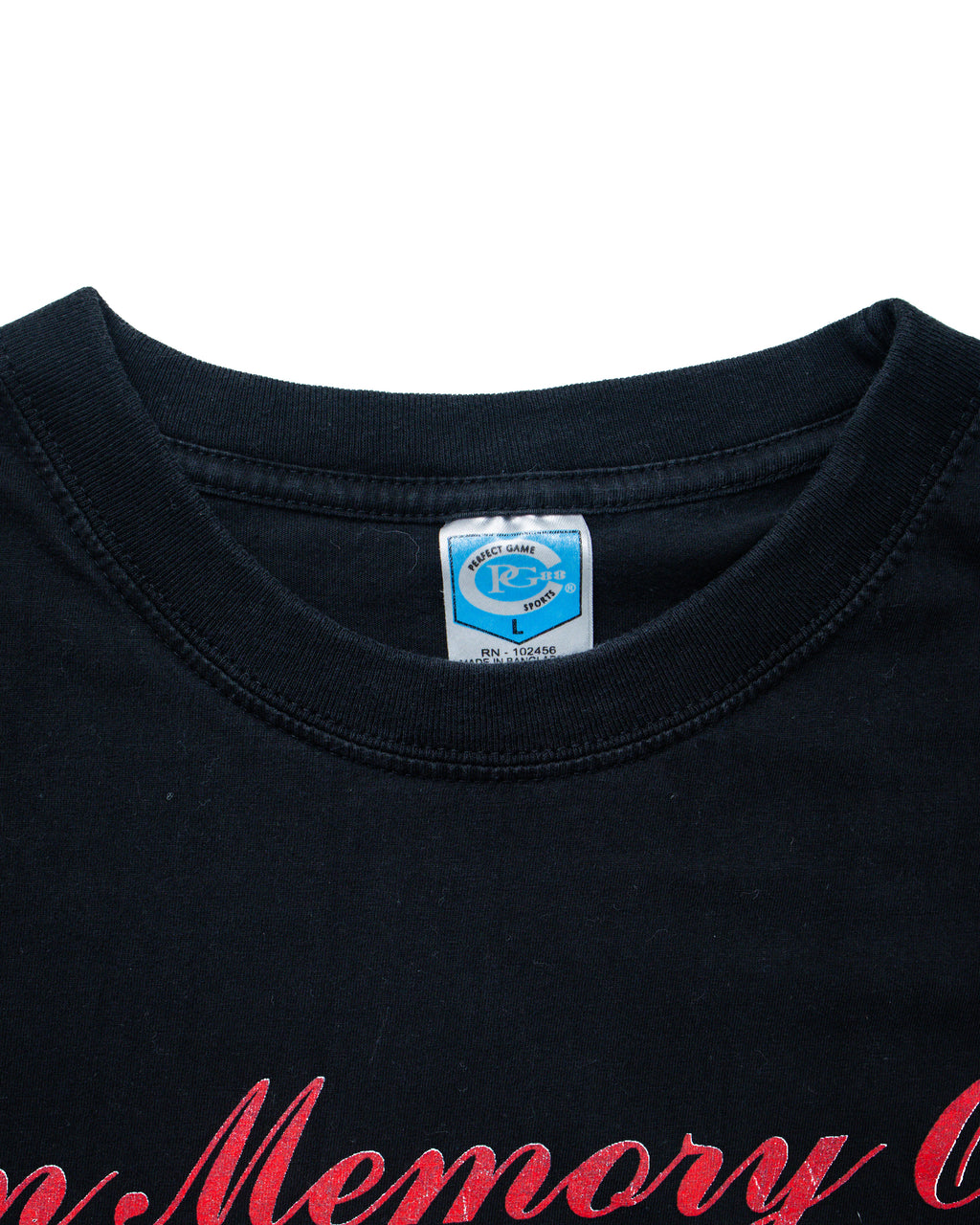 2001 Aaliyah Memorial Rap T