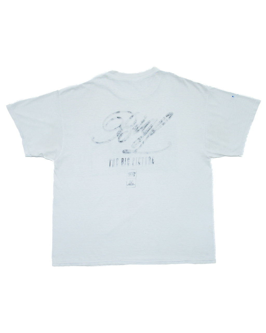 1998 Big L The Big Picture Photo T