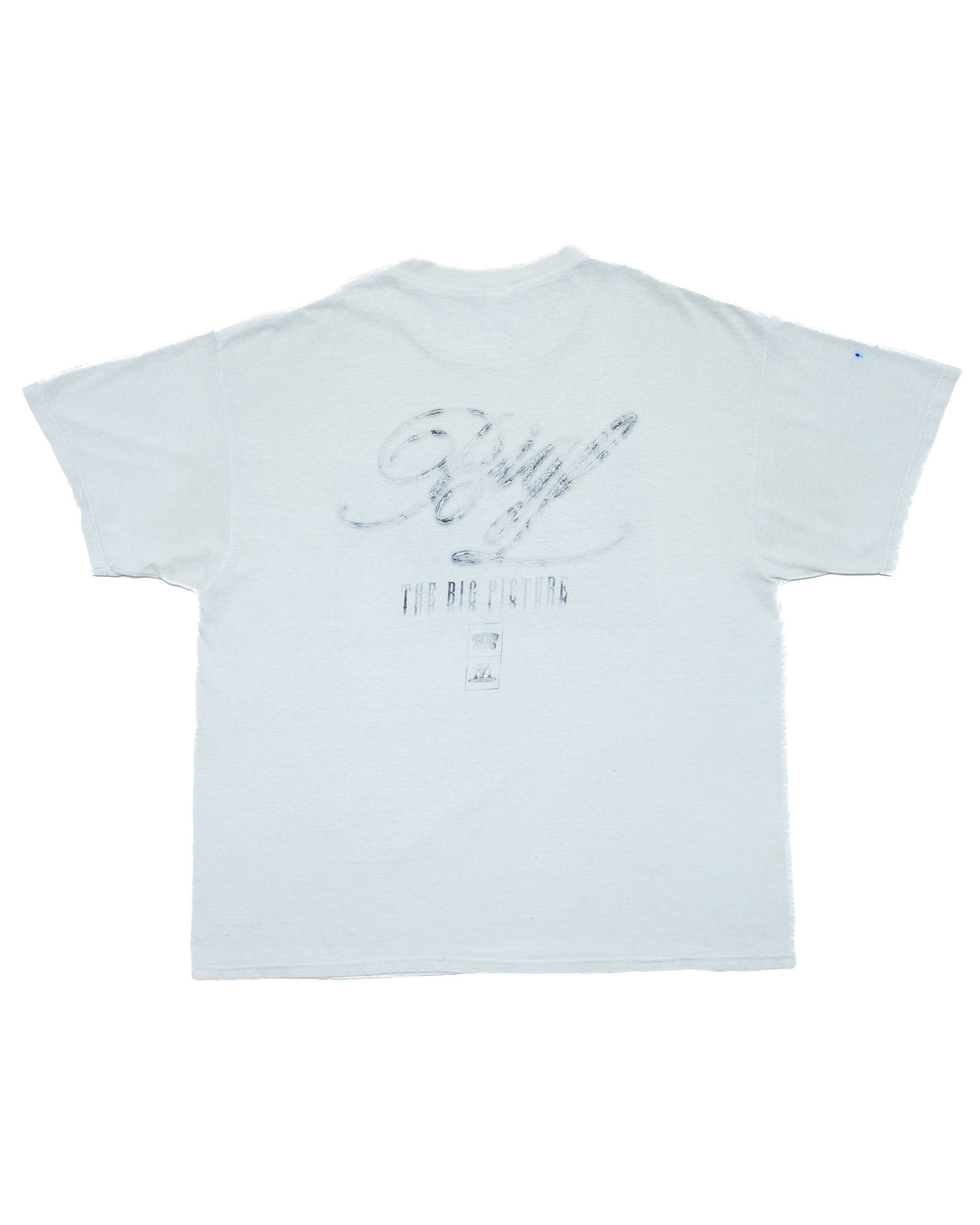 1998 Big L The Big Picture Photo T