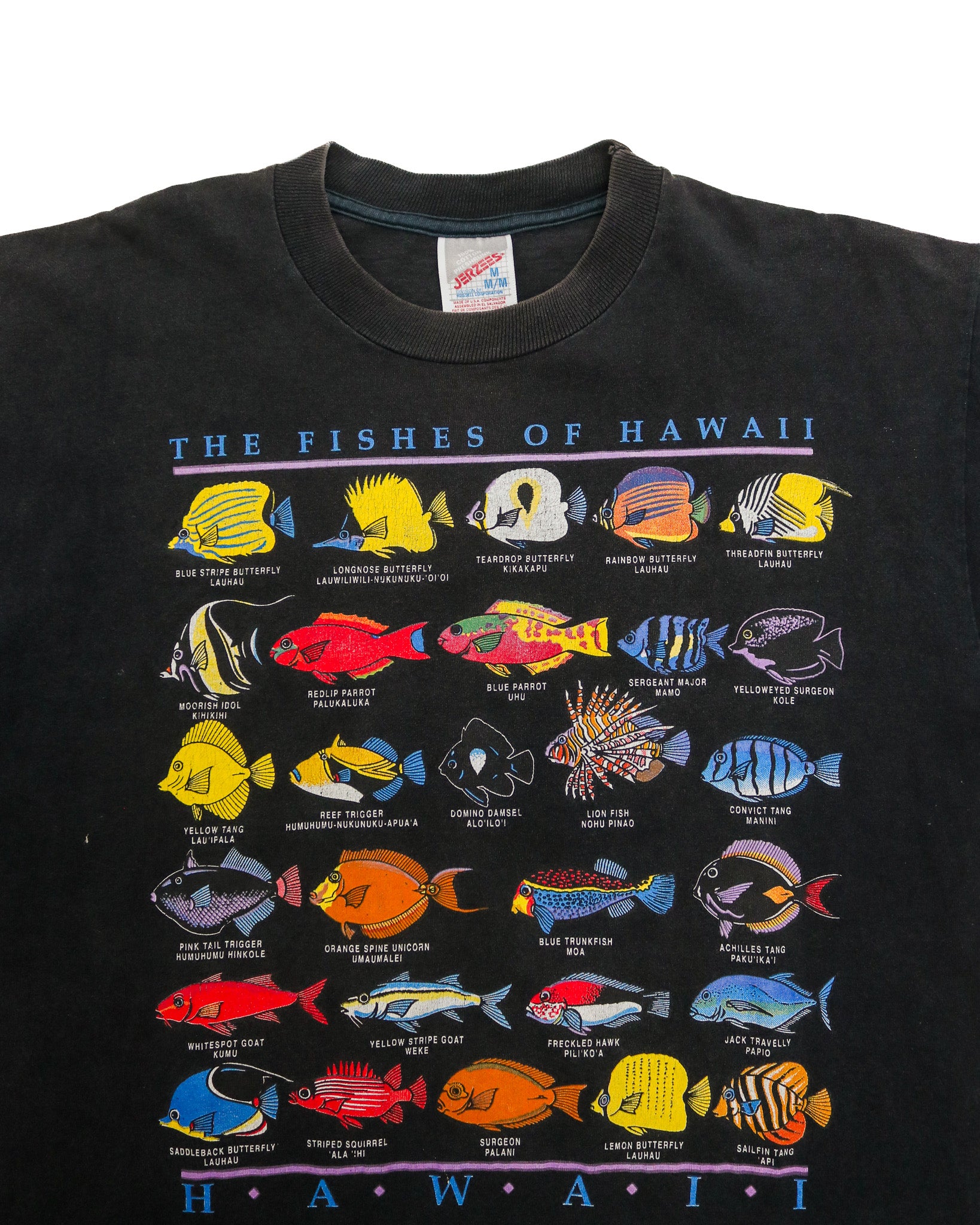 JERZEES FISHES OF HAWAII SOUVENIR TEE