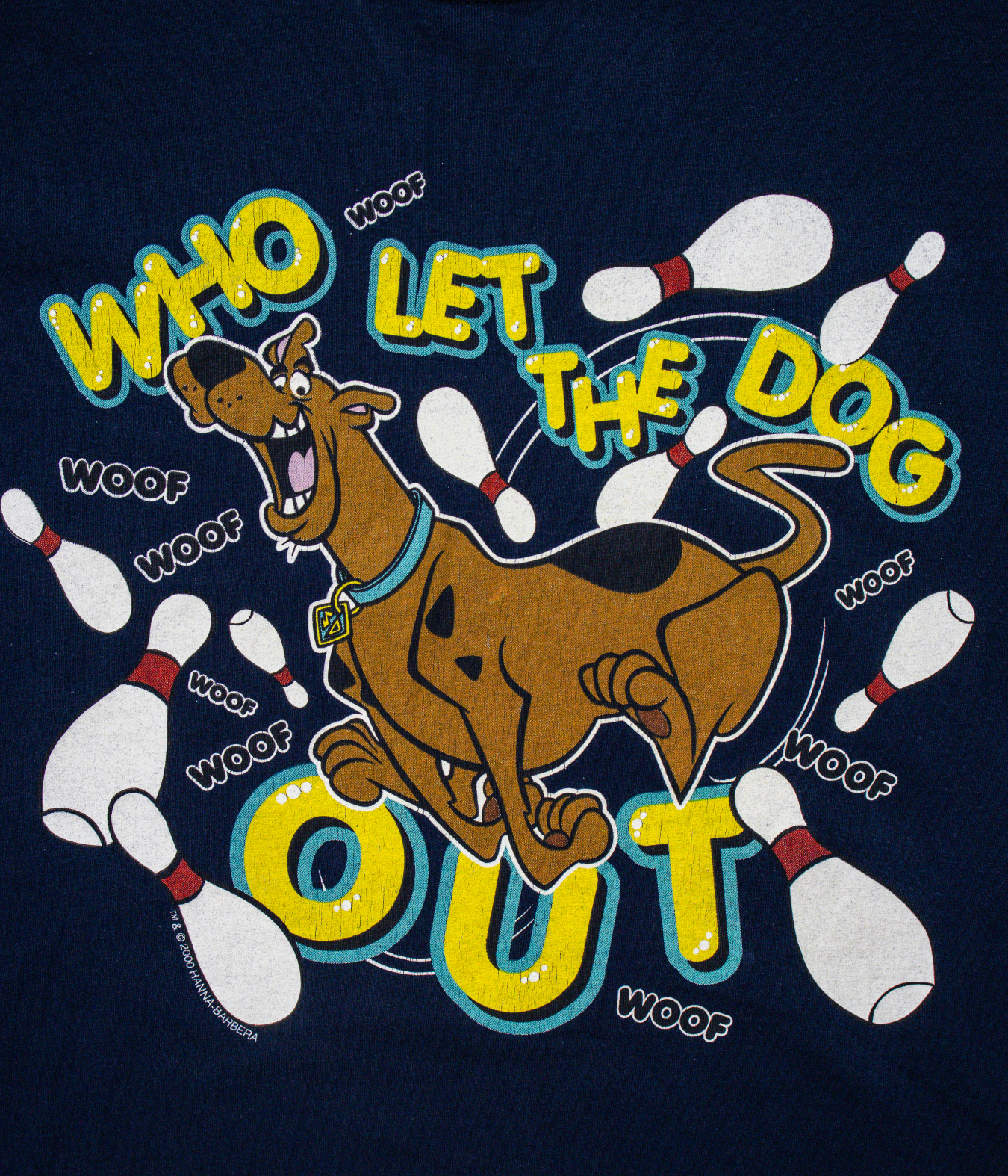 Scooby Dooby Doo "Who Let the dog out"