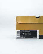 2007 Nike Air Trainer 2 SB Gold