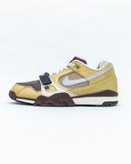 2007 Nike Air Trainer 2 SB Gold